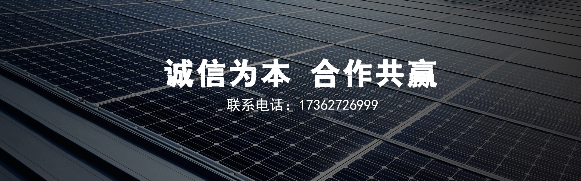河南優質桃苗